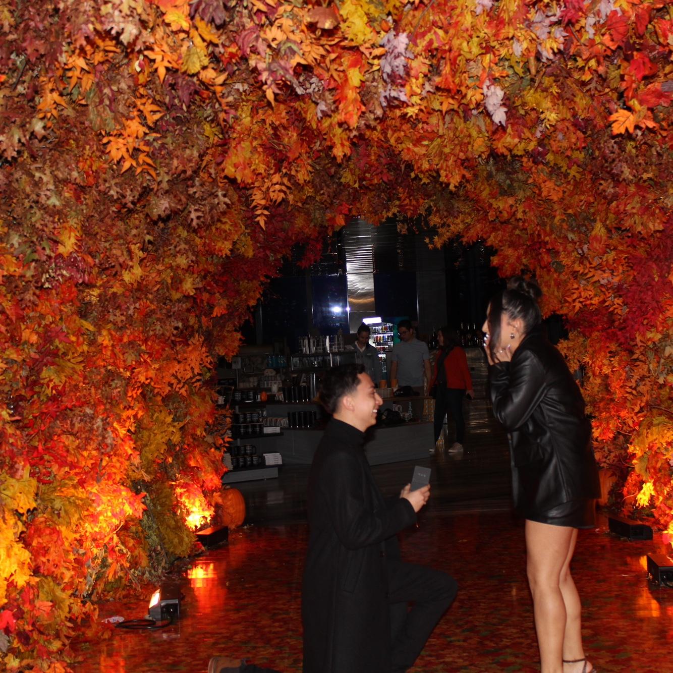 The Proposal!
