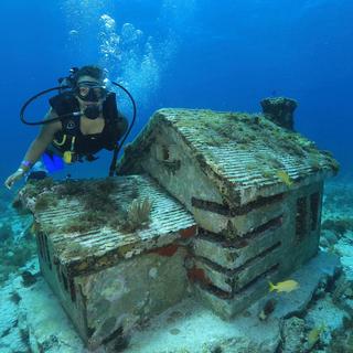 Scuba Diving for Beginners in Cancun for 2