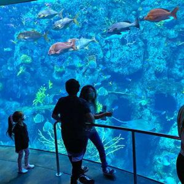 Aquarium of the Pacific