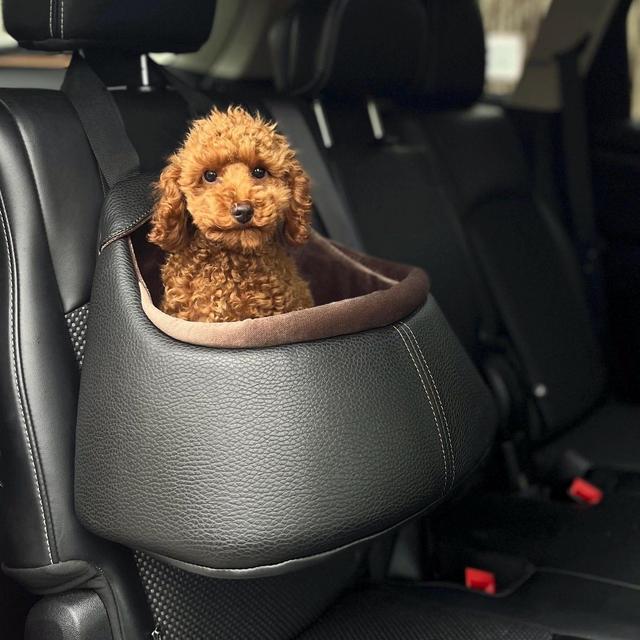 A luxury certified travel bag with a soft velvet interior for your dog's birthday party, Multi-functional car seat for small breed poodles