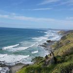 Mangawhai Walkway Hiking Trail