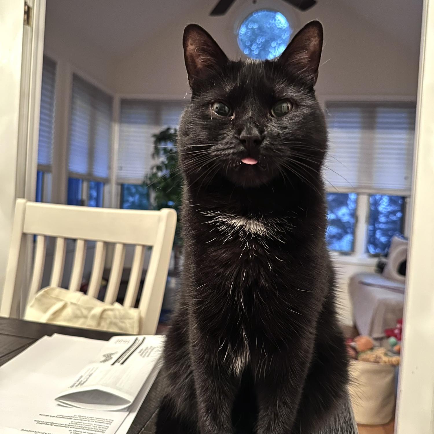 Thunder being his silly self