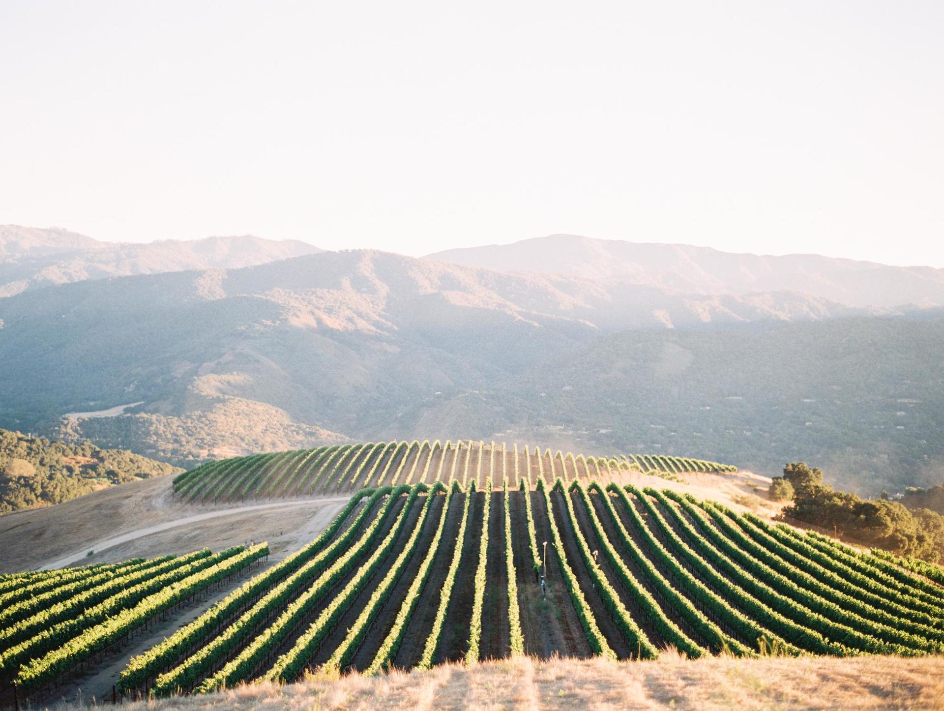 The Wedding Website of Jeff Neil and Lauren Guilford