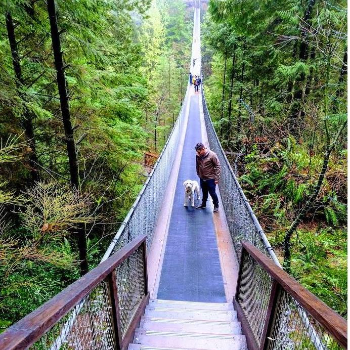 Capilano Suspension Bridge in Vancouver