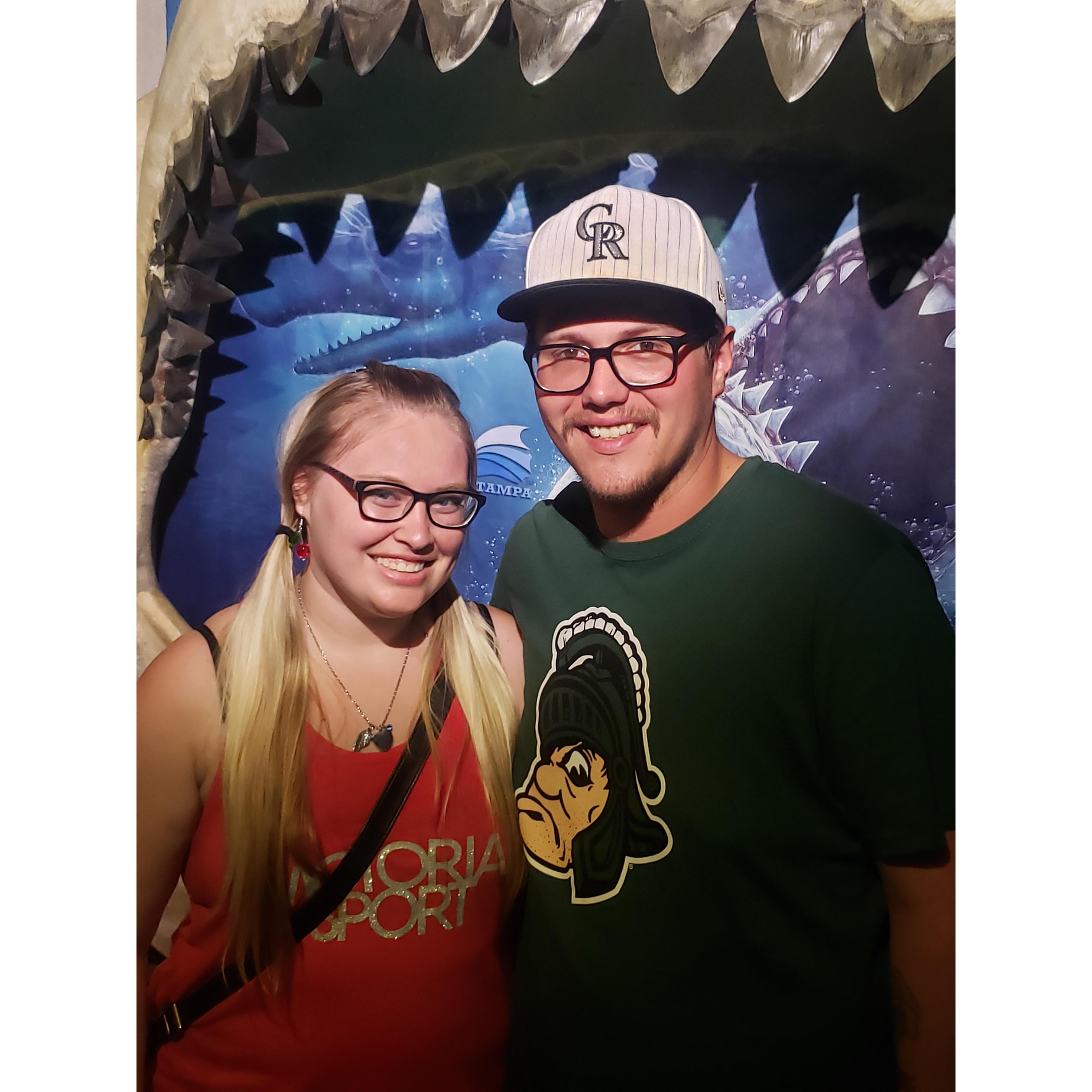 Tampa Aquarium