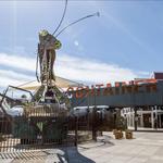 Downtown Container Park