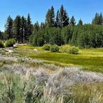 Rabe Meadows Hike (easy)