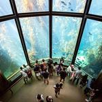 Monterey Bay Aquarium