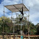 Honolulu Zoo