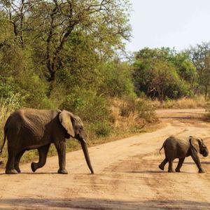 African Honeymoon Fund