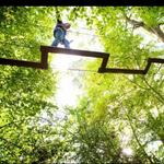 Go Ape Treetop Adventure