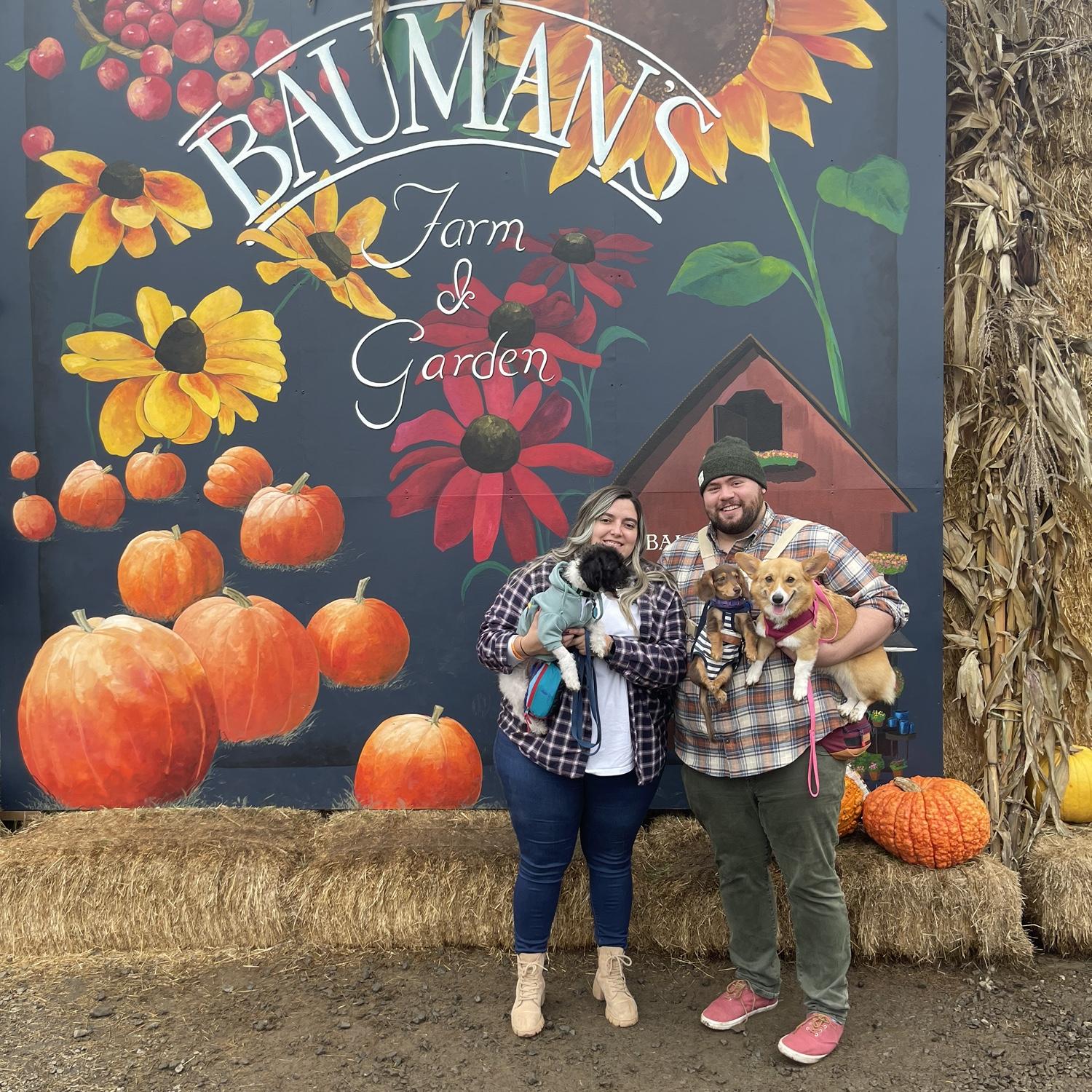 Pumpkin patch with the dogs in Oregon