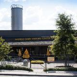 Mayfield Dairy Tours