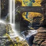 Watkins Glen