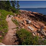 Wonderland/Ship Harbor Trail- 1.4 round trip