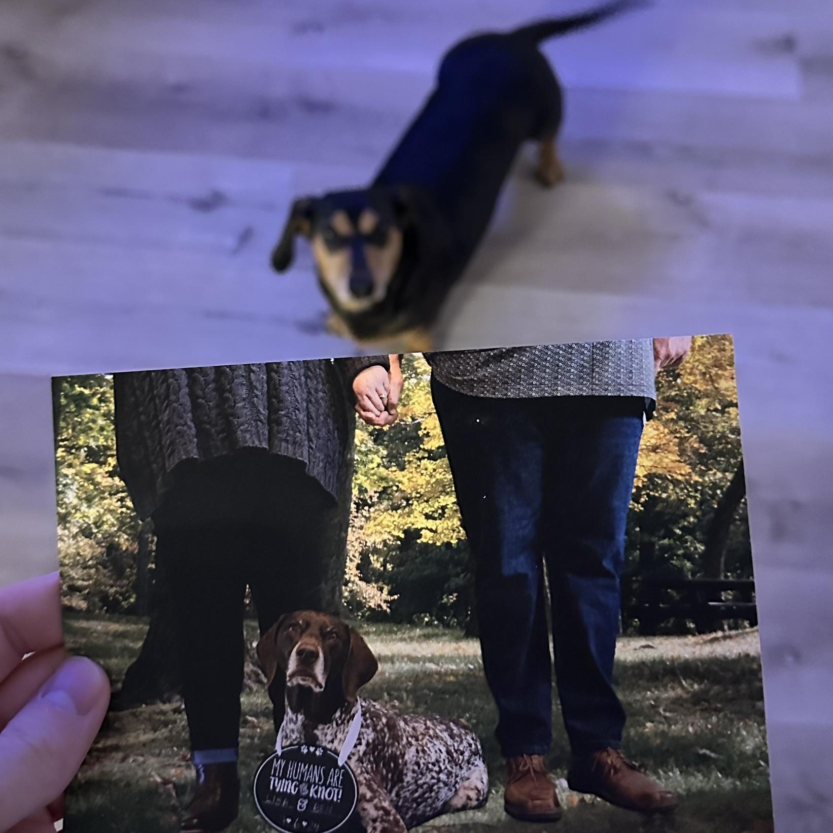 Stuart and Millie love the Save the Date