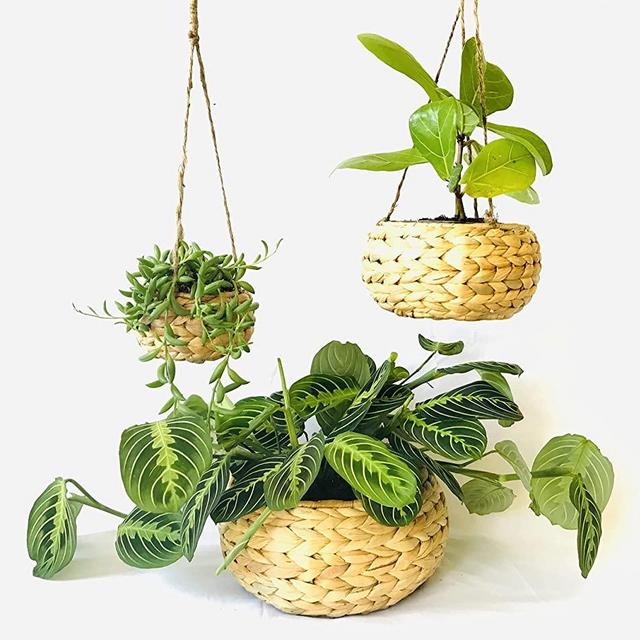 Set of 3 Handmade Hanging Planter with Lining, Natural, Eco Friendly, Modern Boho Water Hyacinth Planter, Minimalist, Light Weight, Mess Free, Durable, Plant Container, Flower Pot