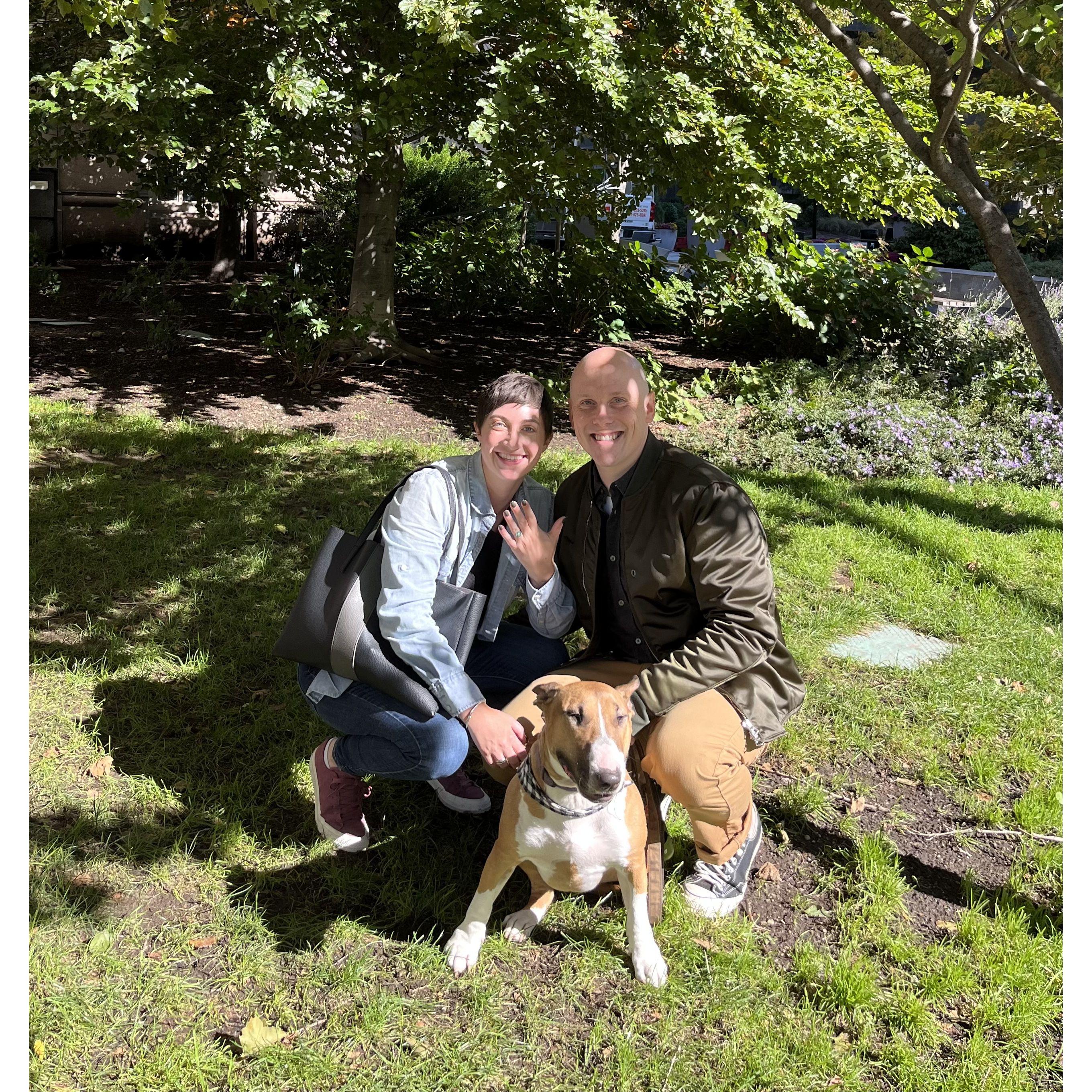 The spot in the park where we met