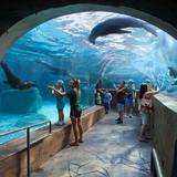 Saint Louis Zoo