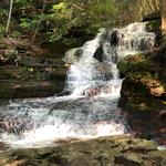Prompton State Park