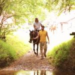 Horseback Riding at Sunny Farms North