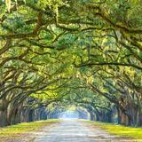 Wormsloe State Historic Site