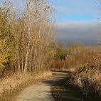 Koteewi Park (nice walking near Cicero)