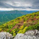 Pisgah National Forest