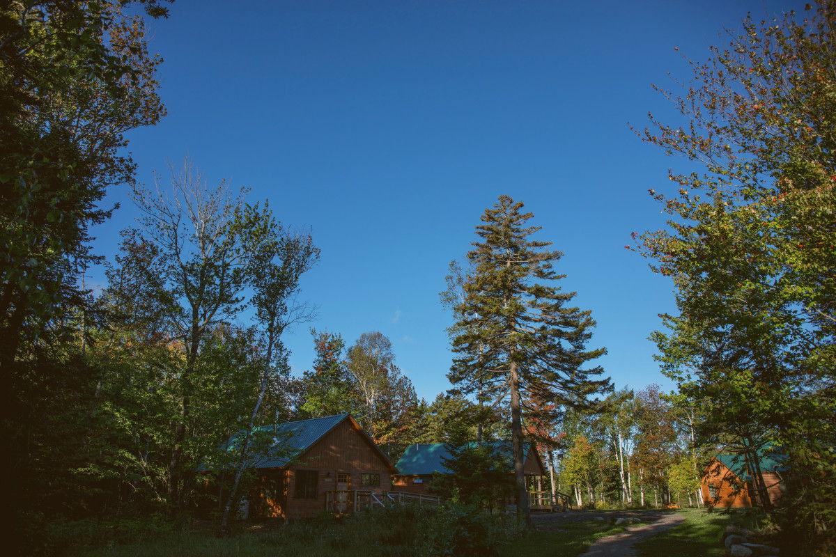 The Wedding Website of Alexandra Miller and Michael Ferris