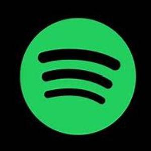 Spotify Duo Annual Plan