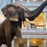 Smithsonian National Museum of Natural History