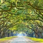 Wormsloe Historic Site