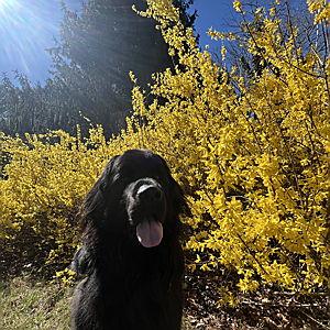 Year's Supply Of Bubba Treats