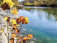 Chessie Nature Trail