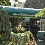 Tom Bailey's Market