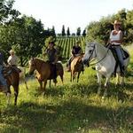 SMALL GROUP TOUR - HORSEBACK RIDING