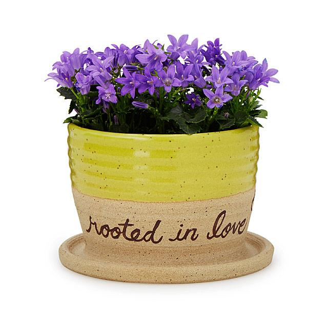 Rooted in Love Planter
