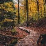 ACTIVITY - Mohican State Park