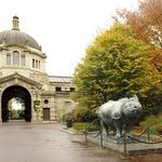 Bronx Zoo