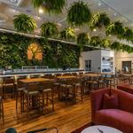 Alcove by MadTree Brewing