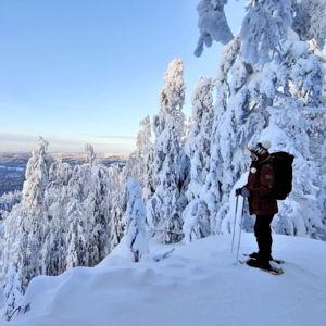 Snowshoe Hike in The Forrest