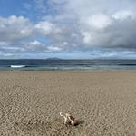 Point Dume State Beach