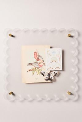 Tart by Taylor Scallop Acrylic Gallery Frame