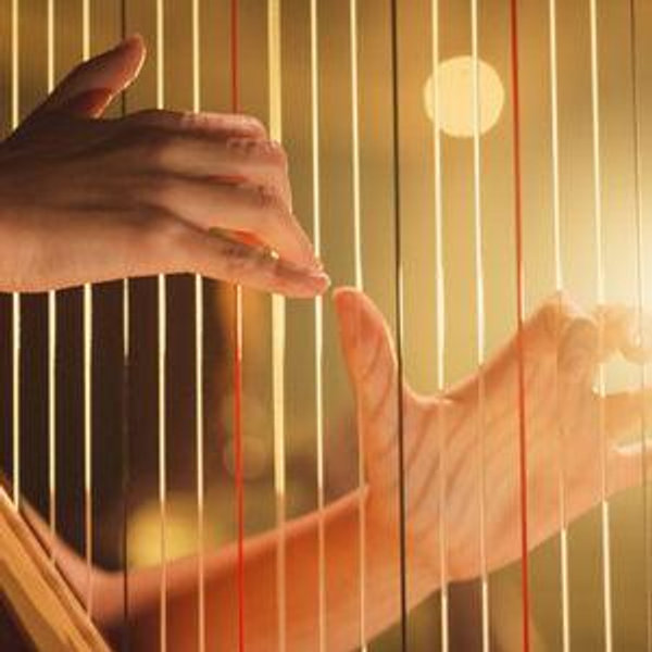 Our Wedding Harpist