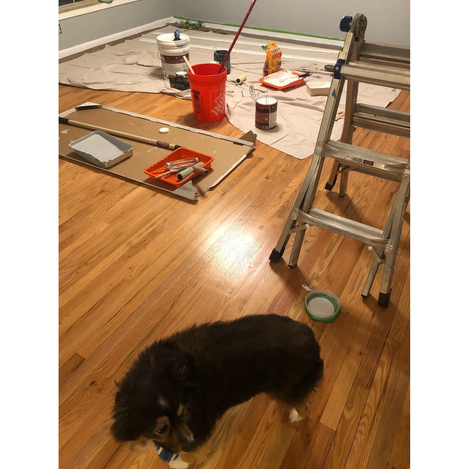 New house, new projects. Without the help of Yogi… 🎾
📍Glen Spey, NY, 2020