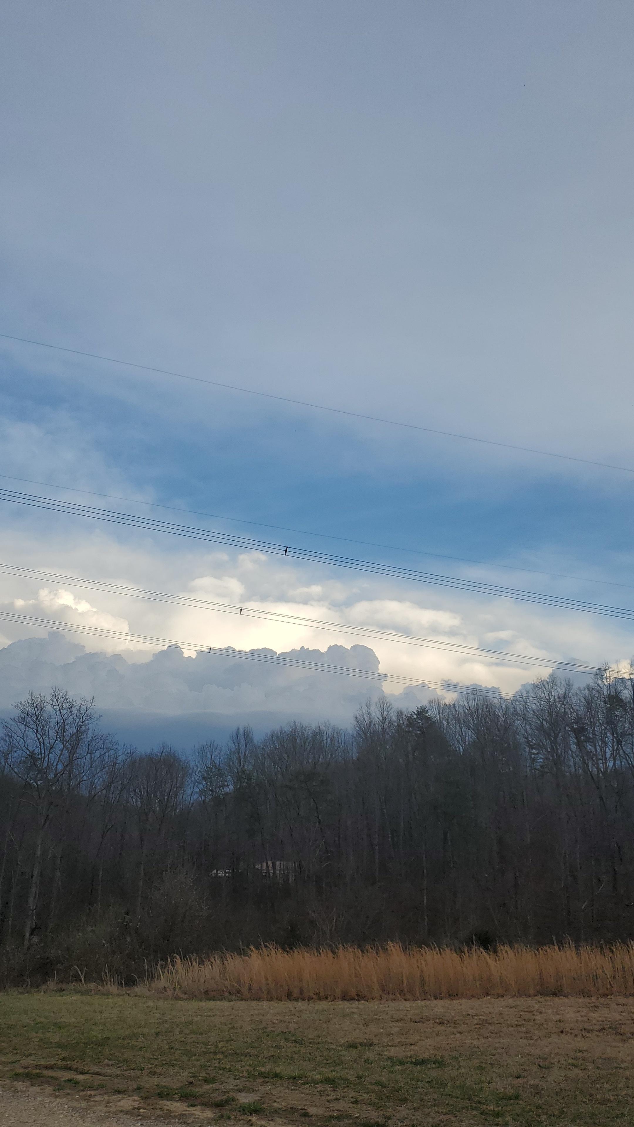 The Wedding Website of Jami Patterson and Josh Johnson