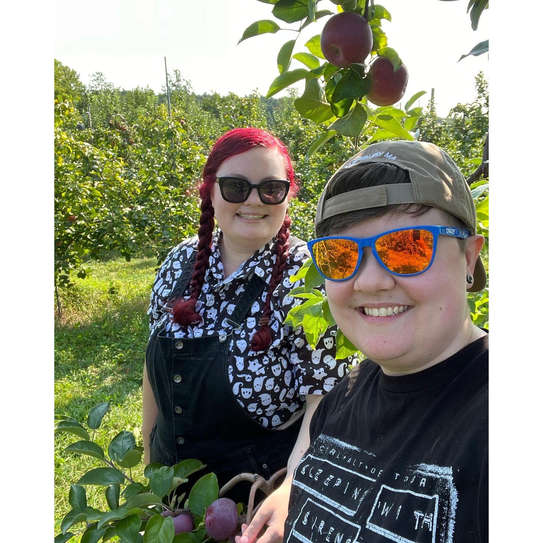 A series of shots from our most recent fall Apple Picking trip--an annual tradition.