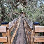 Myakka River State Park