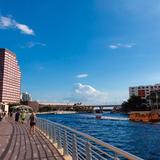 Tampa Riverwalk