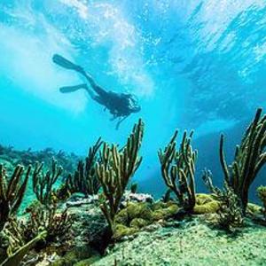 Antigua Scuba Diving